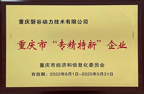 重慶市專(zhuān)精特新企業(yè)
